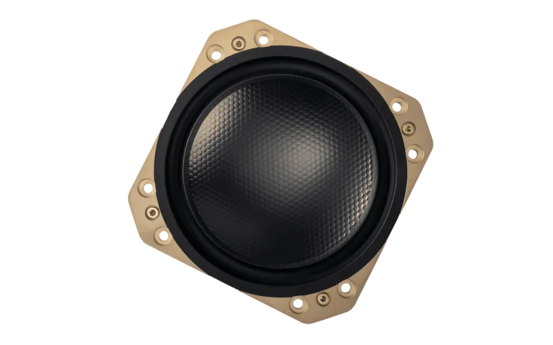 M8 driver membrane and basket, viewed from the front
